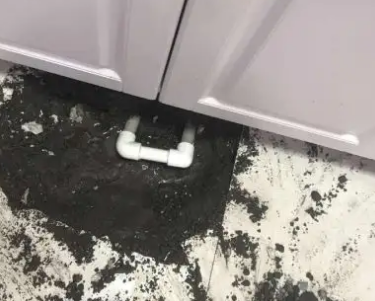 新晃查漏水哪家好