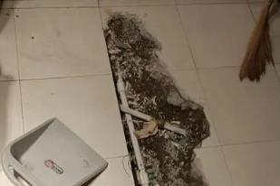 新晃卫生间漏水检测电话